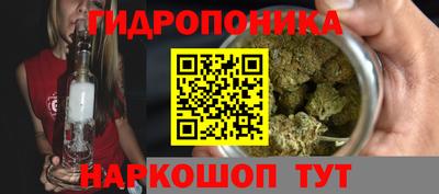 эйфоретик Моздок