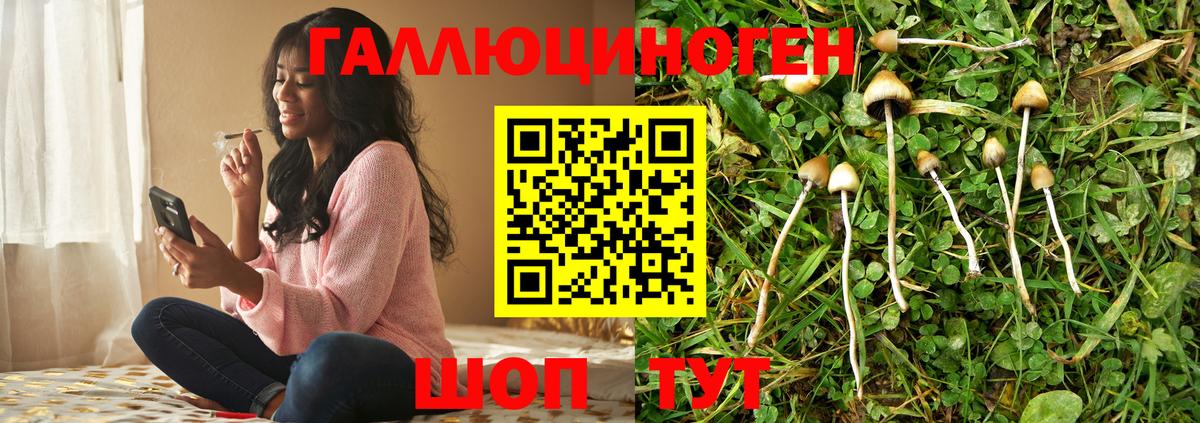 Галлюциногенные грибы мицелий Холмск