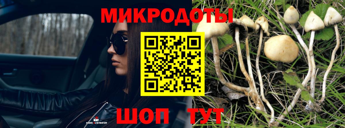 Галлюциногенные грибы Psilocybe  Галлюциногенные грибы MAGIC MUSHROOMS  Холмск  Вход с VPN 
